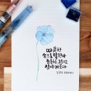 [1/6] 캘리그라피 취미반 이미지