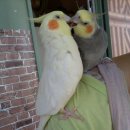 신기가족농장 이미지