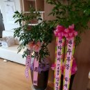 (주)다하리엘리베이터 네이버블로그