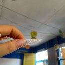 유한의료기 | [2023 아라국외봉사단] 선함을 관성으로