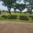 낙동강체육공원 농구장 이미지