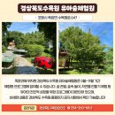 포항시북구92 이미지