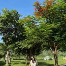 영우목장 이미지