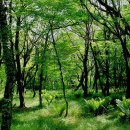 제주시크릿가든 이미지