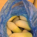 공간요가필라테스