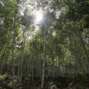 자인 메디칼 이미지