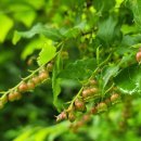 정금농장 이미지