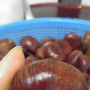 택양농장 이미지