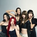 미야오 카카오 검색결과