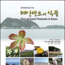 태안반도
