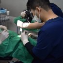 굿프렌즈치과의원 이미지