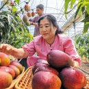 최명환농장 이미지