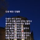 인생예찬 Daum카페