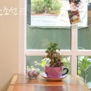 수생한의원 이미지