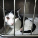 심재웅동물병원 이미지