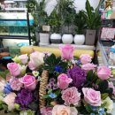 상록꽃화원 이미지