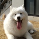 한비 이미지