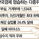 금이수지 이미지