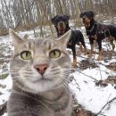 계경순대국숙대입구역점 | [예다로그🍖] 숙대입구역 맛집 / 계경순대국 뼈해장국 맛집 / 털보네 떡꼬치까지 개조짐💦