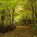 경북1급종합정비 이미지