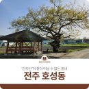 전주만수초등학교 | 전주 ‘건지산’이 좋아 떠날 수 없는 동네, 호성동