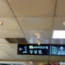 (주)핫독 | 성심당 본점 임산부 프리패스 후기 성심당 본점 주말 웨이팅 및 성심당 빵 추천 메뉴
