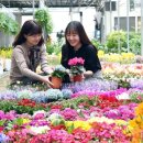 흥선동주민센터(행정복지센터) 이미지