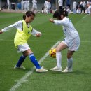 금화초등학교 이미지