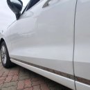덴트데이