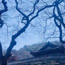 임신마을 | 서산 부석사 임신소원 성취 절 후기 🙏 (+풍전뚝집,서산해미읍성, 당진왜목마을 당일치기 코스)