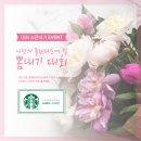 나만의 플랜테리어 이미지