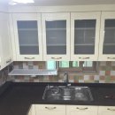 블루시안 이미지