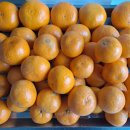 정량2농장 이미지