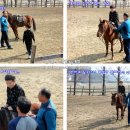 솔향기흙내음 이미지