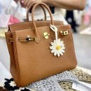 에꼴드펫 이미지