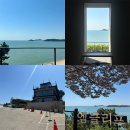 인천 영종 '엠클리프' 후기! 마시안 해변 절벽 뷰 카페