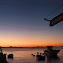 사궁두미 이미지