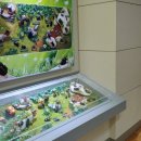 문경자연생태박물관 이미지