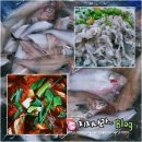 고래이야기 | 경북 가볼만한곳 영덕&amp;울진 1박2일 여행