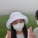 성룡목장 네이버블로그