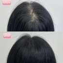 달리아 네일 이미지