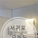 오늘은서귀포 이미지