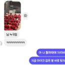 조아국제결혼 | 영화는 핑계고 굿즈 사고 친구 만나려고 간 부산국제영화제 후기(╹◡╹)v