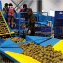 벌교농협농산물산지유통센터 이미지