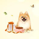 (주)선진펫 이미지