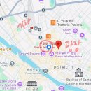 라우루스 이미지