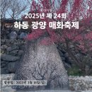 이게 맞냐 [2025년 24회 하동 광양 매화축제]