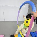 효도하는태권도장 이미지