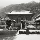 힐링스팟