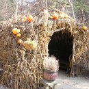 나라농원 이미지